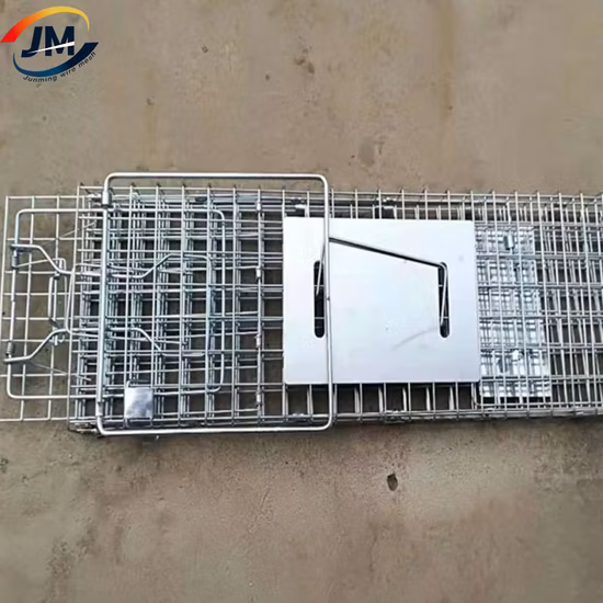 China Supplier Multi Catch Rat Chipmunk Cage Trap Cage for Wildlife Control