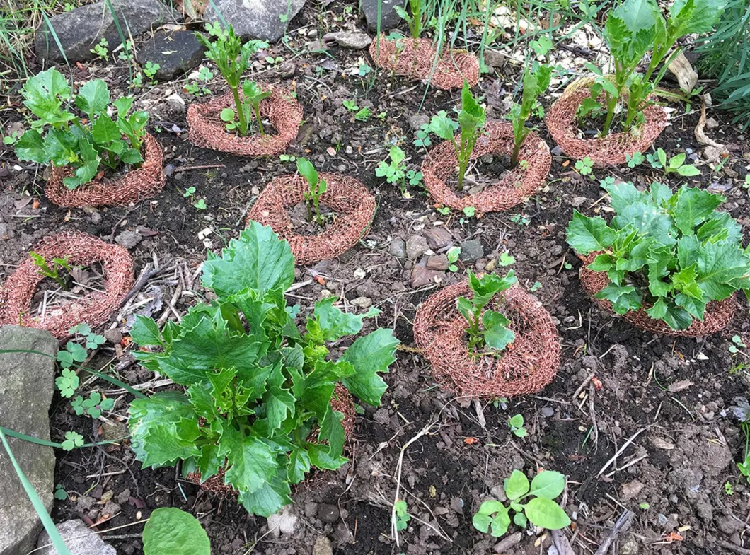 Knitted Copper Wire Mesh for Mouse Rodent Pest Control Fence