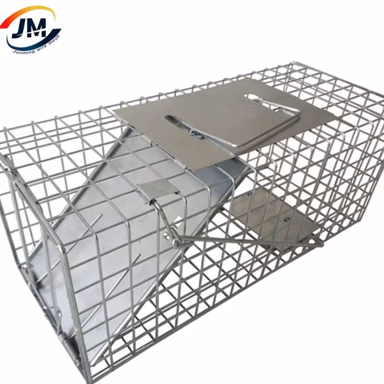 China Supplier Multi Catch Rat Chipmunk Cage Trap Cage for Wildlife Control