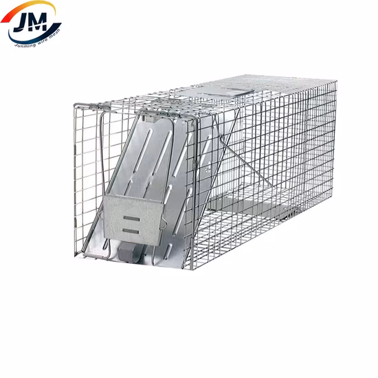 China Supplier Multi Catch Rat Chipmunk Cage Trap Cage for Wildlife Control