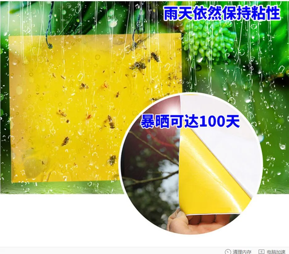 Scientific Insect Control of The Yellow Trap Rubber Board