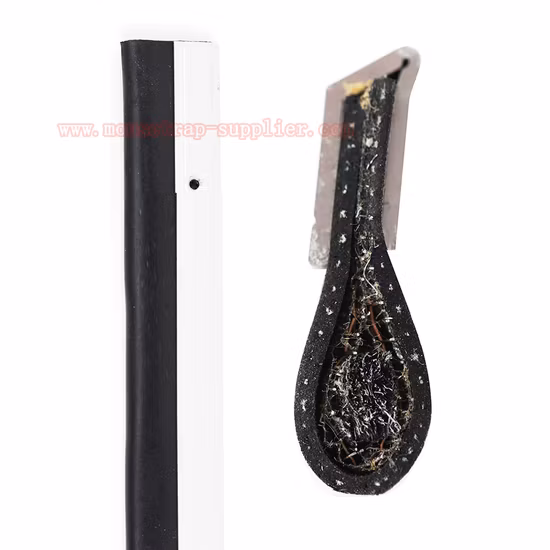 Schädlingsbekämpfung für Wohnräume, Ratte, Maus, Nagetier, Türfeger